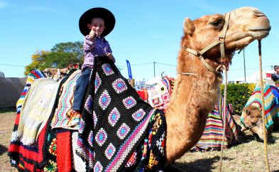 A youngster enjoys a camel ride on the first day of Ag-Grow yesterday. A youngster enjoys a camel ride on the first day of Ag-Grow yesterday.